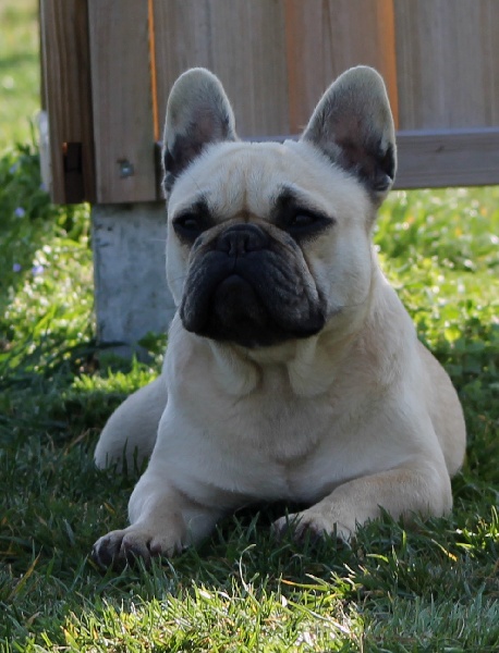 Hode'licieuse tentation de l'air salin